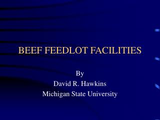 BEEF FEEDLOT FACILITIES
