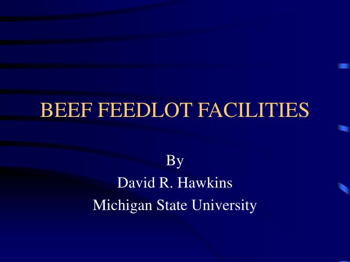 beef feedlot facilities