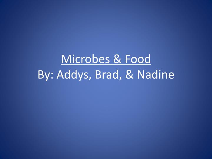 microbes food by addys brad nadine