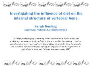 Investigating the influence of diet on the internal structure of vertebral bone.