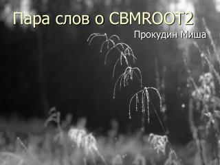 cbmroot2