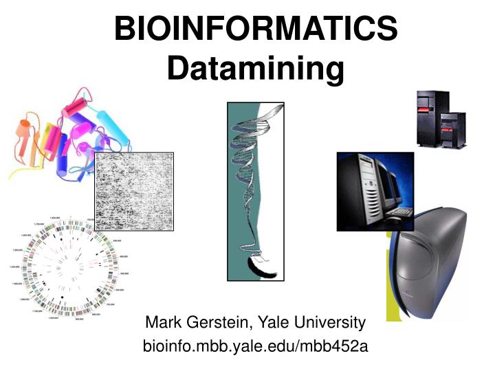 bioinformatics datamining
