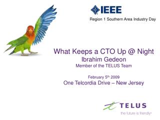 What Keeps a CTO Up @ Night Ibrahim Gedeon Member of the TELUS Team February 5 th 2009