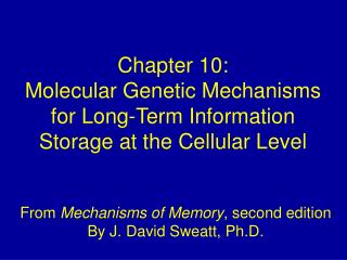 Chapter 10: Molecular Genetic Mechanisms for Long-Term Information Storage at the Cellular Level