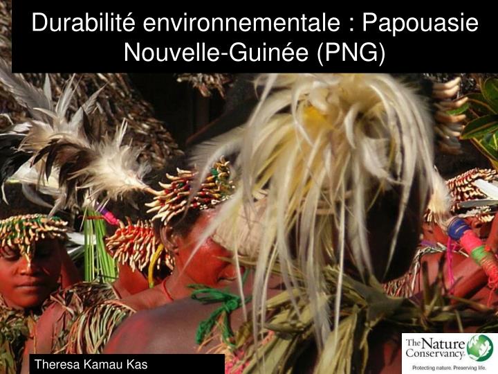 durabilit environnementale papouasie nouvelle guin e png