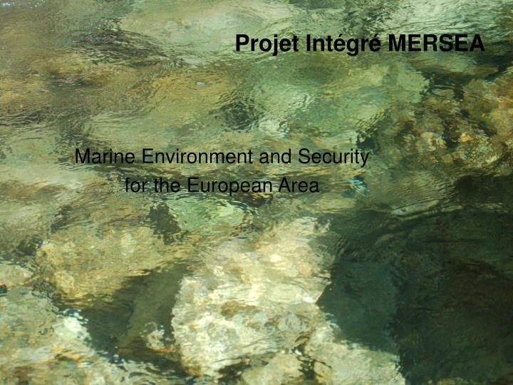 marine environment and security for the european area