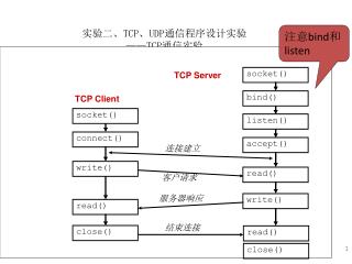 tcp udp tcp