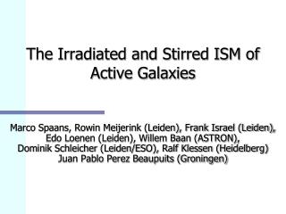 The Irradiated and Stirred ISM of Active Galaxies