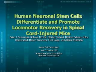 Human Neuronal Stem Cells Differentiate and Promote Locomotor Recovery in Spinal Cord-Injured Mice
