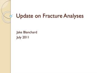 Update on Fracture Analyses