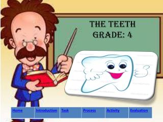 The teeth Grade: 4