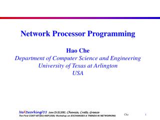 Network Processor Programming Hao Che Department of Computer Science and Engineering