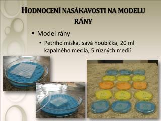 Hodnocení nasákavosti na modelu rány