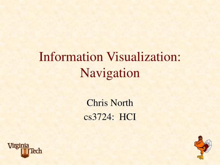 information visualization navigation