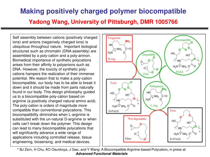 making positively charged polymer biocompatible yadong wang university of pittsburgh dmr 1005766