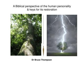 A Biblical perspective of the human personality &amp; keys for its restoration
