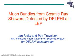 Muon Bundles from Cosmic Ray Showers Detected by DELPHI at LEP
