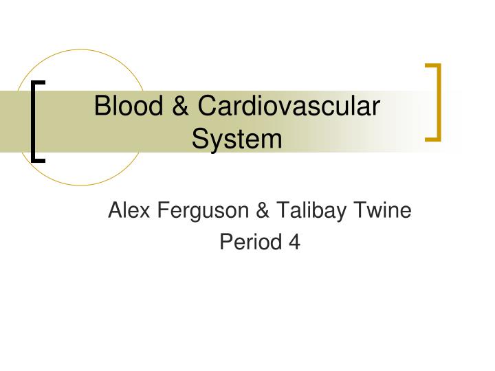 blood cardiovascular system