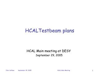 HCALTestbeam plans