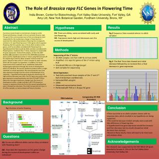 The Role of Brassica rapa FLC Genes in Flowering Time