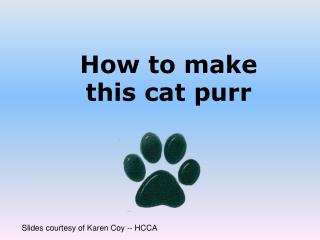 How to make this cat purr