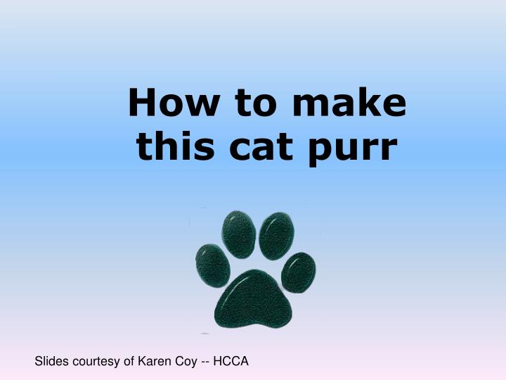 how to make this cat purr