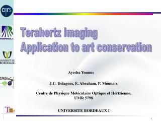 Terahertz Imaging Application to art conservation