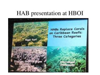 HAB presentation at HBOI