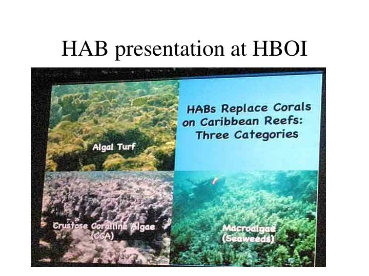 hab presentation at hboi