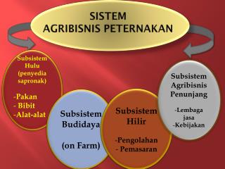 sistem agribisnis peternakan