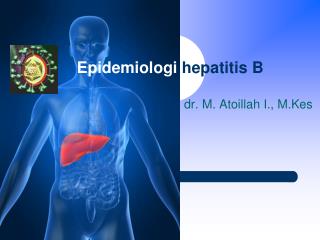 epidemiologi hepatitis b