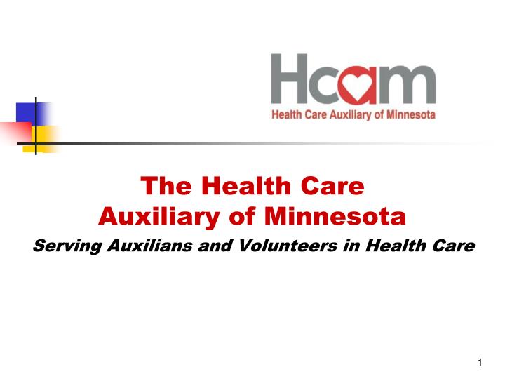 the health care auxiliary of minnesota serving auxilians and volunteers in health care