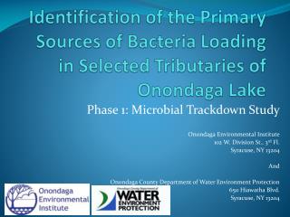 Identification of the Primary Sources of Bacteria Loading in Selected Tributaries of Onondaga Lake