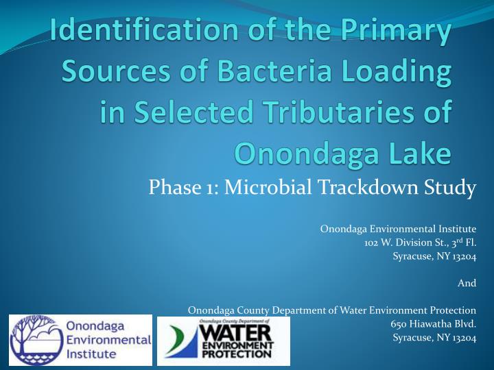 identification of the primary sources of bacteria loading in selected tributaries of onondaga lake