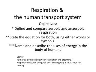 Respiration &amp; the human transport system