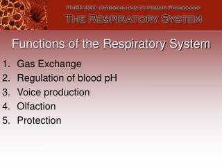 Functions of the Respiratory System