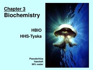 Chapter 3 Biochemistry