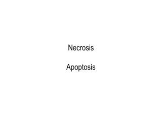 Necrosis Apoptosis