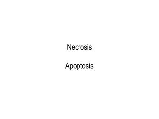 necrosis apoptosis