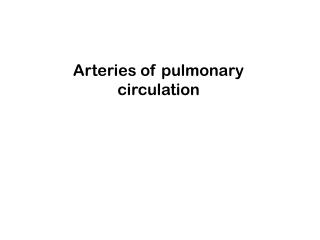 Arteries of pulmonary circulation
