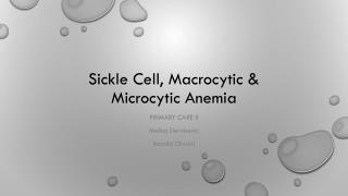 Sickle Cell, Macrocytic &amp; Microcytic Anemia