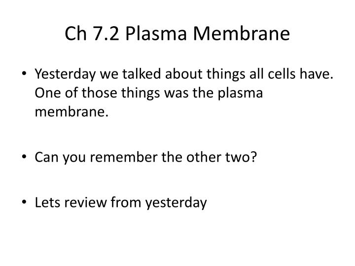 ch 7 2 plasma membrane