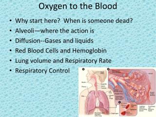 Oxygen to the Blood