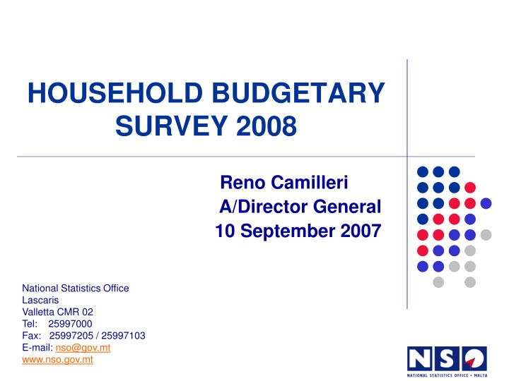 household budgetary survey 2008