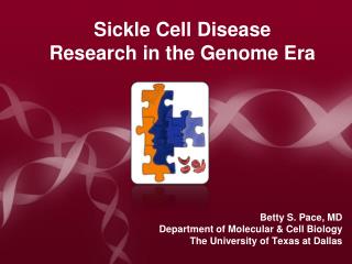 Sickle Cell Disease Research in the Genome Era