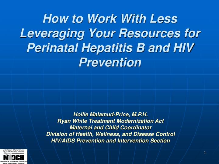 how to work with less leveraging your resources for perinatal hepatitis b and hiv prevention