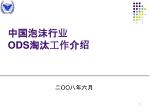 中国泡沫行业 ODS 淘汰 工作 介绍 - slide 1