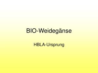 bio weideg nse