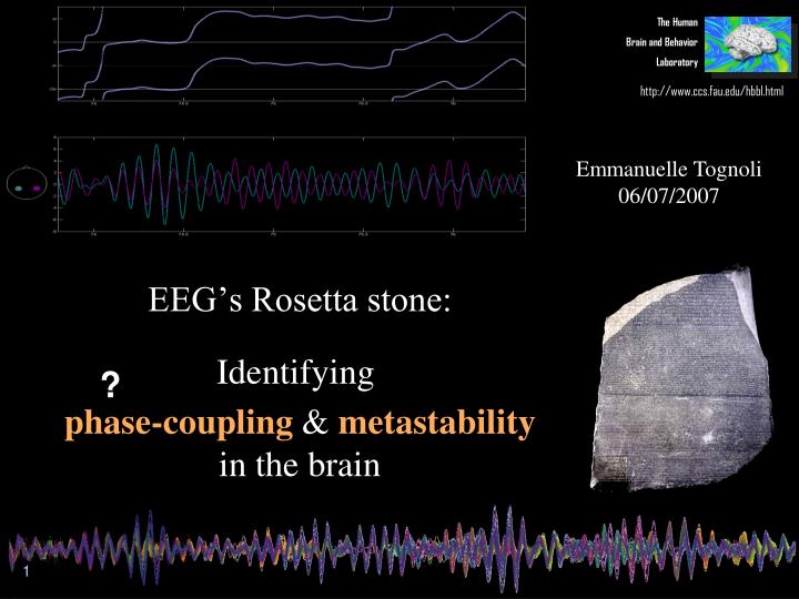 eeg s rosetta stone identifying phase coupling metastability in the brain
