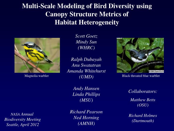 multi scale modeling of bird diversity using canopy structure metrics of habitat heterogeneity